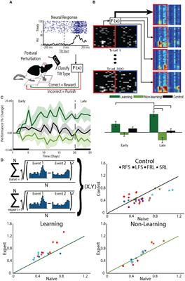 Transitioning from global to local computational strategies during brain-machine interface learning